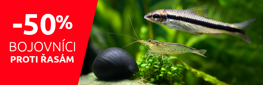 bojovnici-proti-rasam