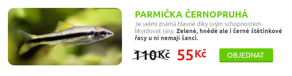 parmicka-cernopruha
