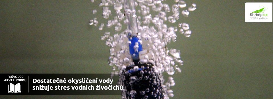 dostatocni-okysliceni-vody-v-akvariu