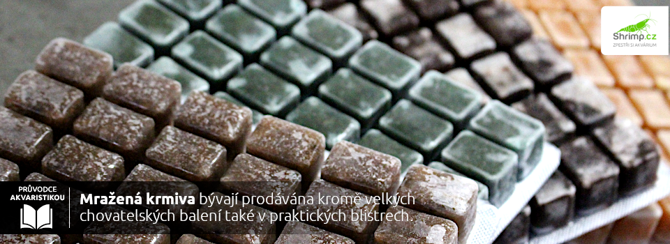mrazene-krmivo-pro-akvarijni-rybicky