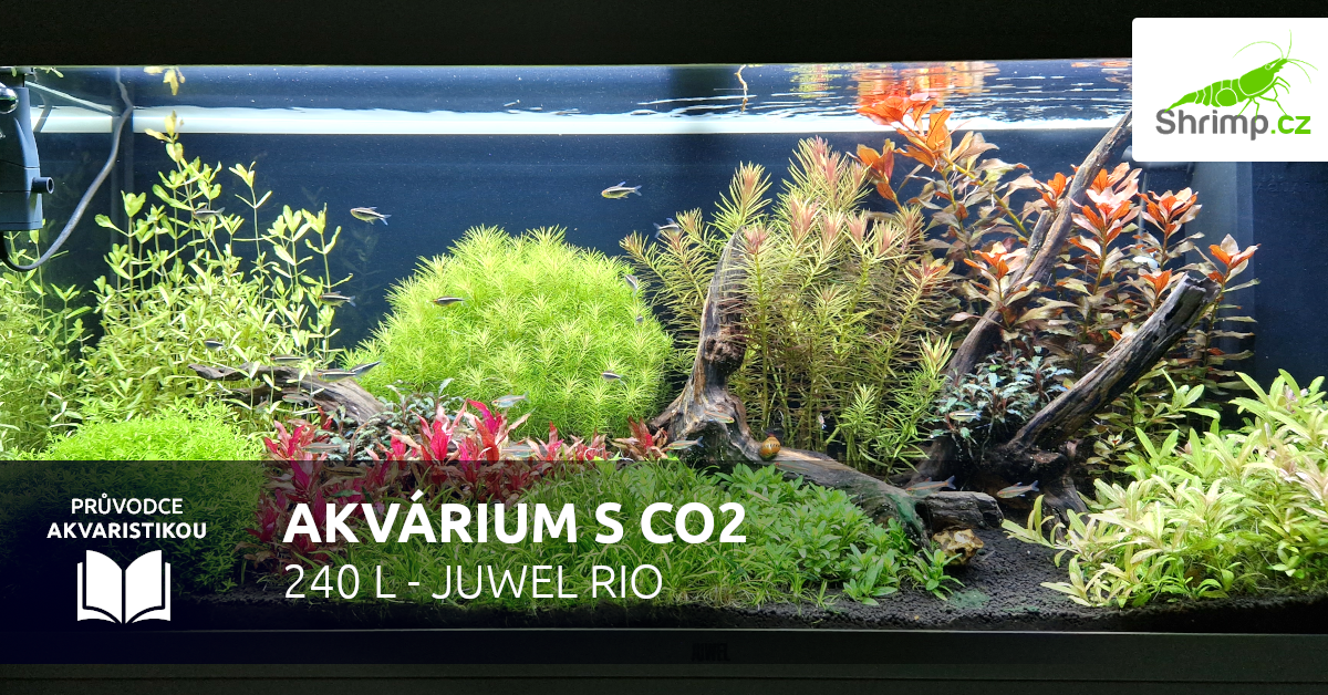 Akvárium s CO2