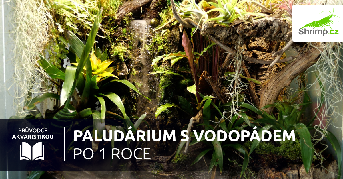 Paludárium s vodopádem