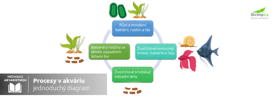 Diagram procesů v akváriu