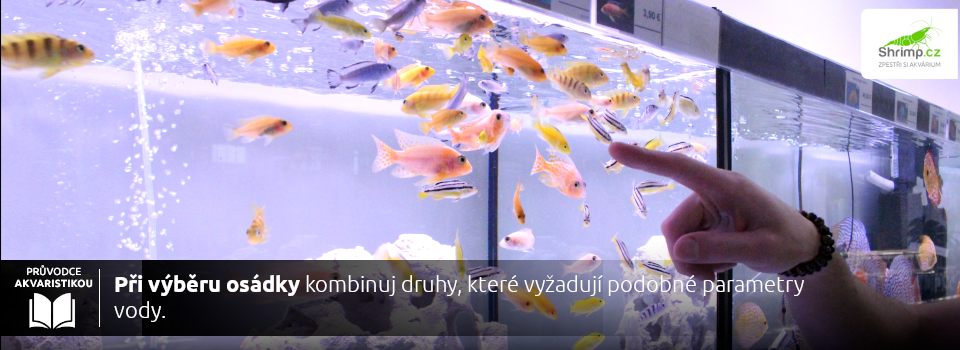 Osádka do akvária