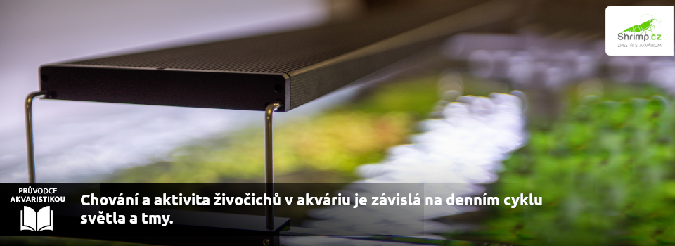 Osvětlení v akva
