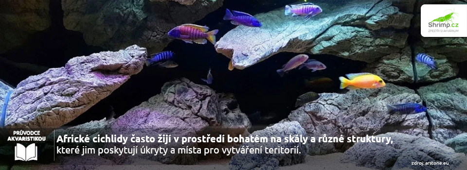 akvarium-pro-africke-cichlidy