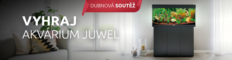 Dubnová soutěž o akvárium