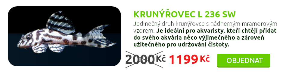 Krunýřovec L 236 SW