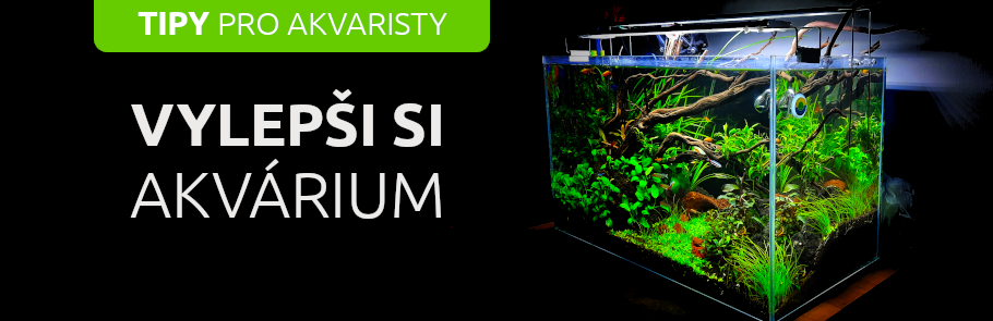 vylepsi-si-akvarium