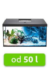 akvarium-50-l