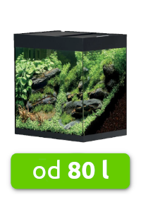 akvarium-80-l