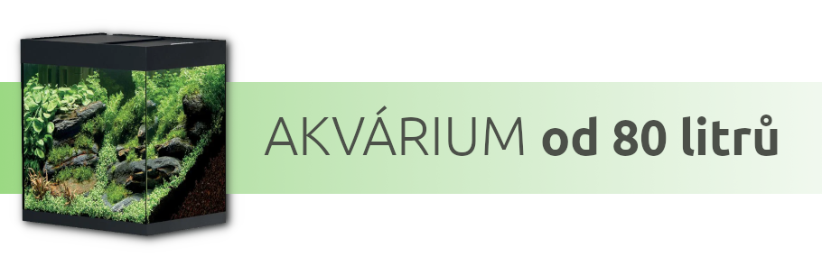 tipy-pro-akvarium-od-80-litru