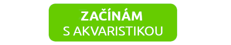 zacinam-s-akvaristikou