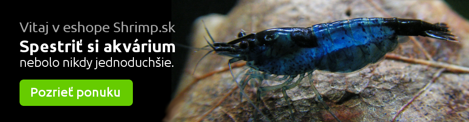 Vitaj v eshope Shrimp.sk - krevety, raky a slimáky do tvojho akvária