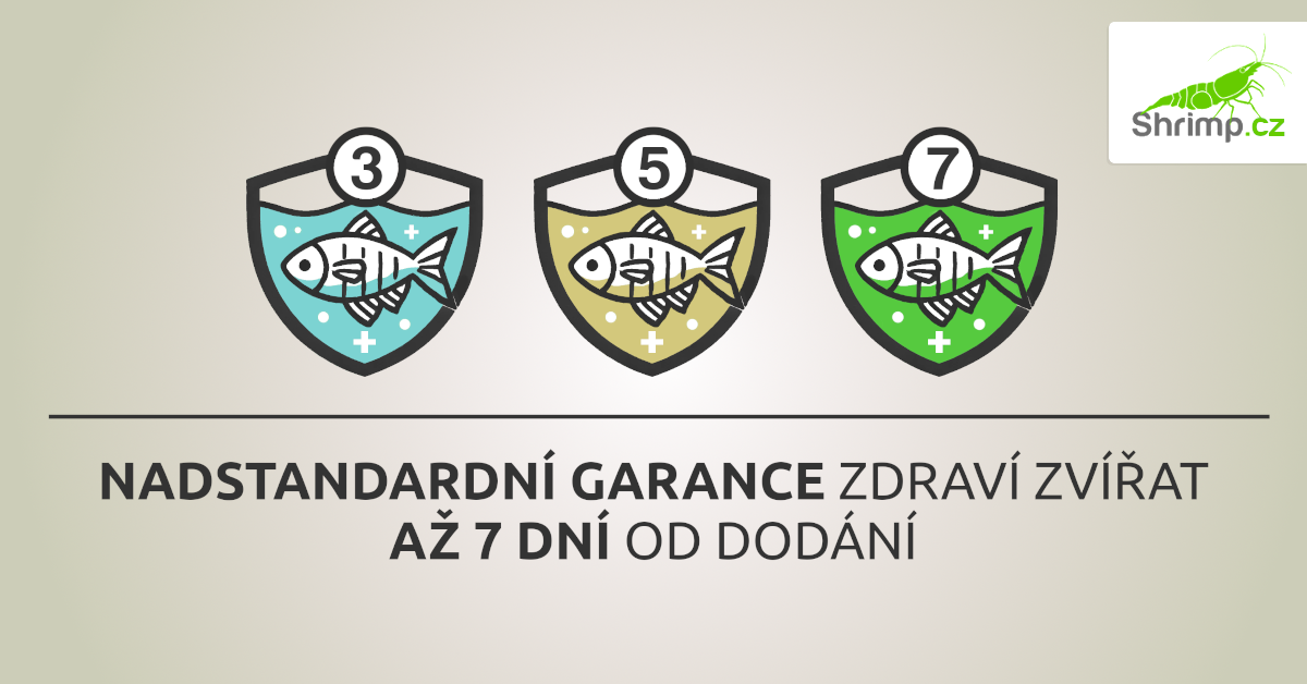 garance-zdravy-akvarijnich-zivocichu