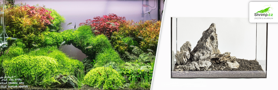 rataj-volcano-black-substrat-v-akvariu