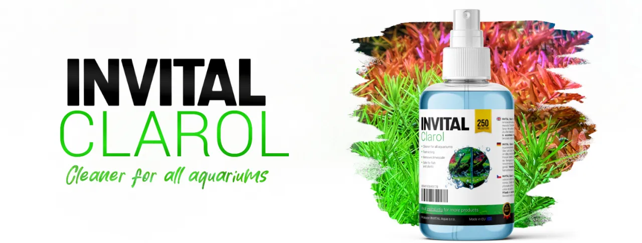 invital-clarol