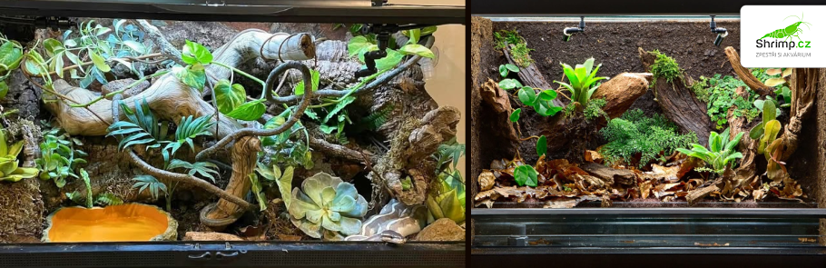 terarium-pro-krajtu