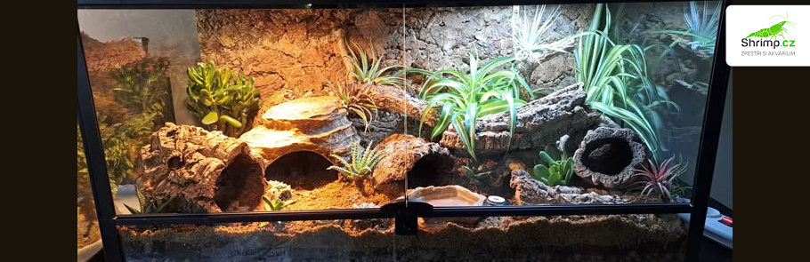 terarium-pro-gekoncika-nocneho