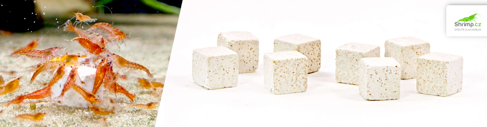 glasgarten-mineral-artemia-cubes