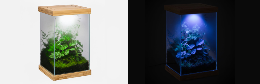 aquael-selva-mini-terarium