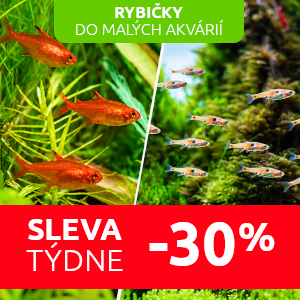 sleva-rybicky-do-maleho-akvaria