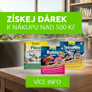 darek-k-nakupu