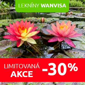 leknin-wanvisa-sleva