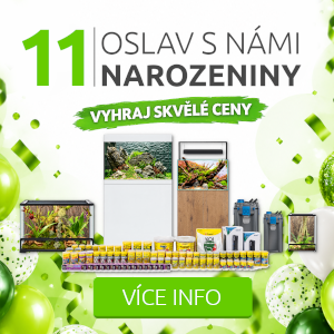 narozeniny-11