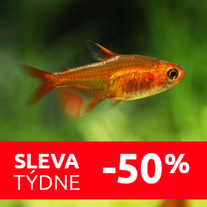 tetra-ohniva-sleva