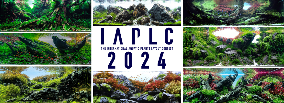 IAPLC