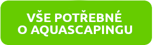 vse-potrebne-o-aquascapingu