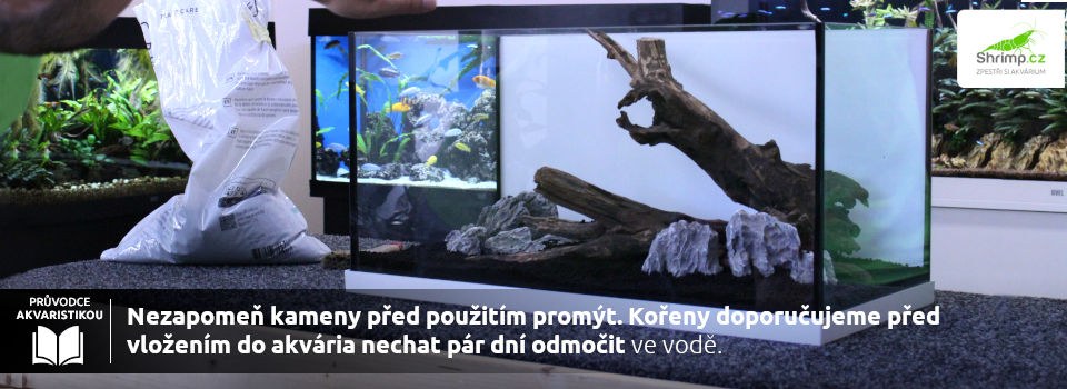 Kameny a kořeny