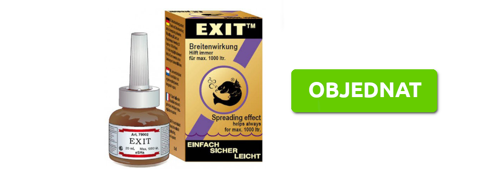 esha-exit