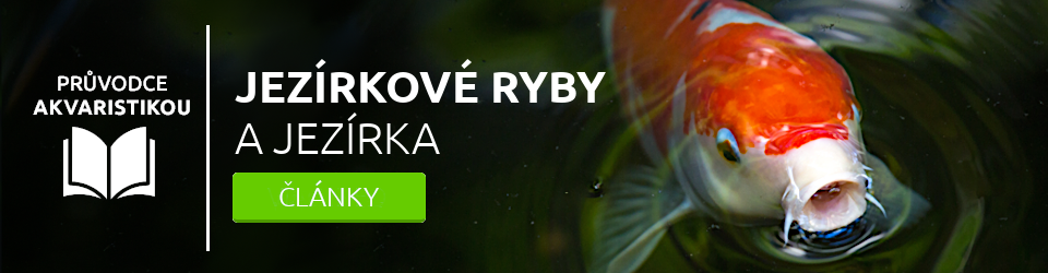 pruvodce-akvaristikou-jezirka-a-jezirkove-rybicky