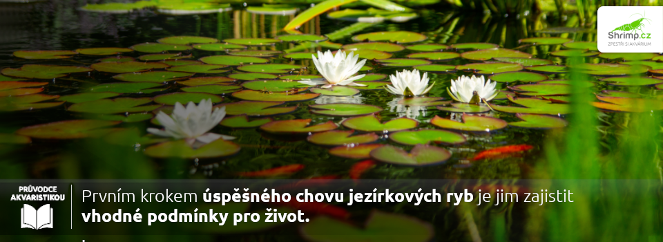 uspesny-chov-zacina-kvalitni-pripravou