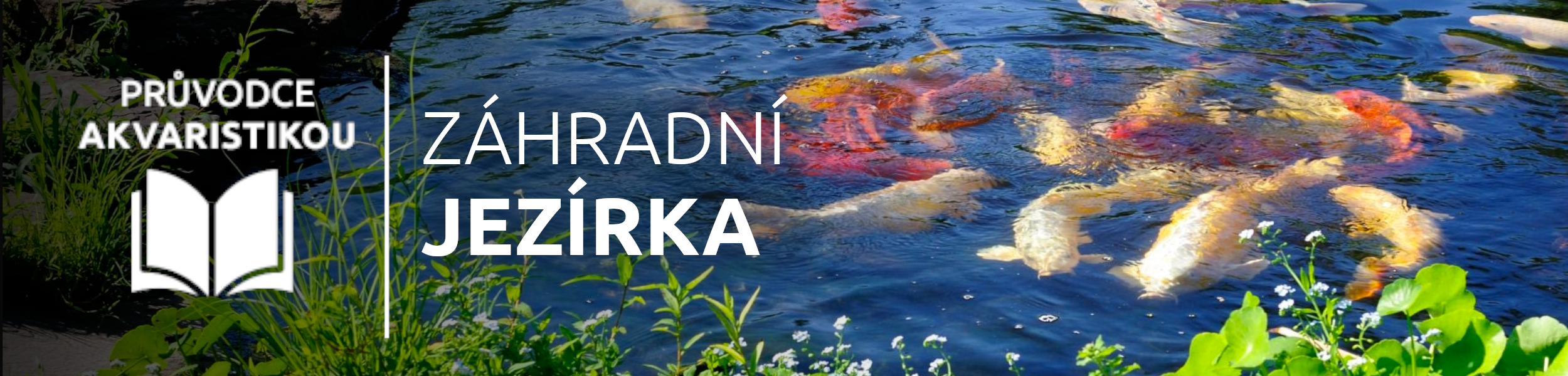 zahradni-jezirka