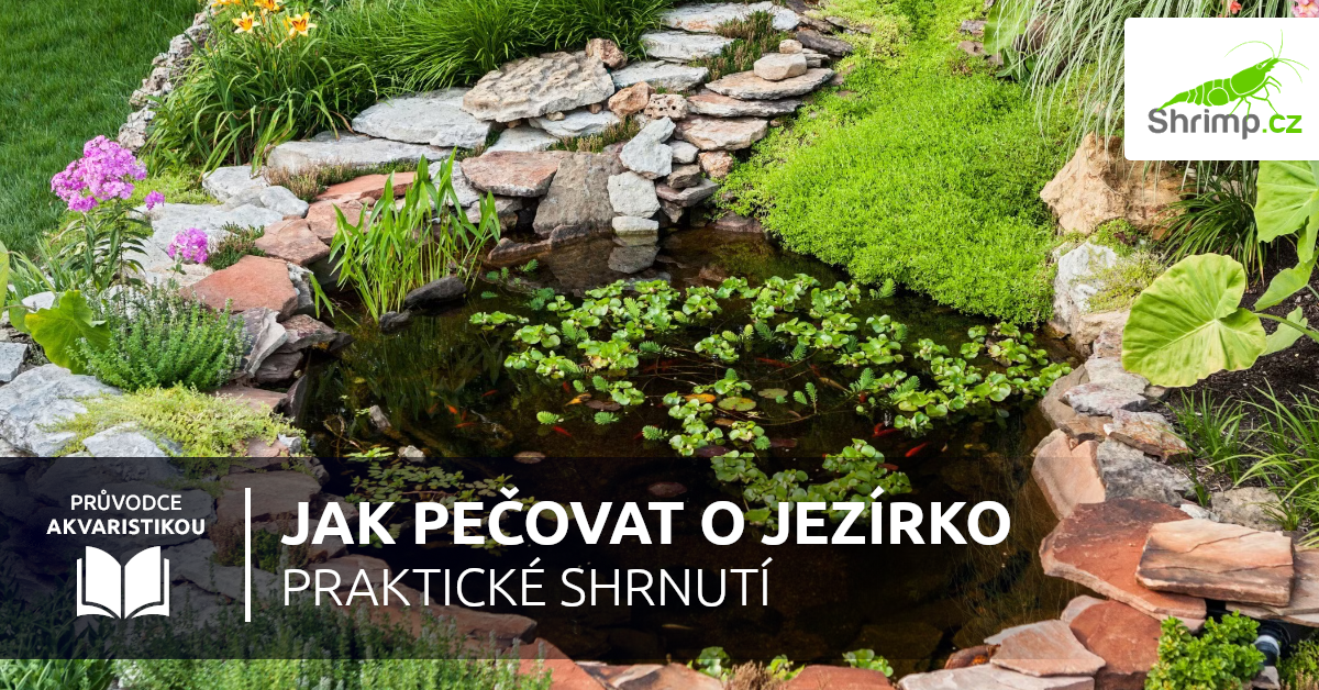 jak-pecovat-o-jezirko