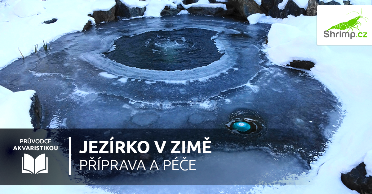 jezirko-v-zime-pece