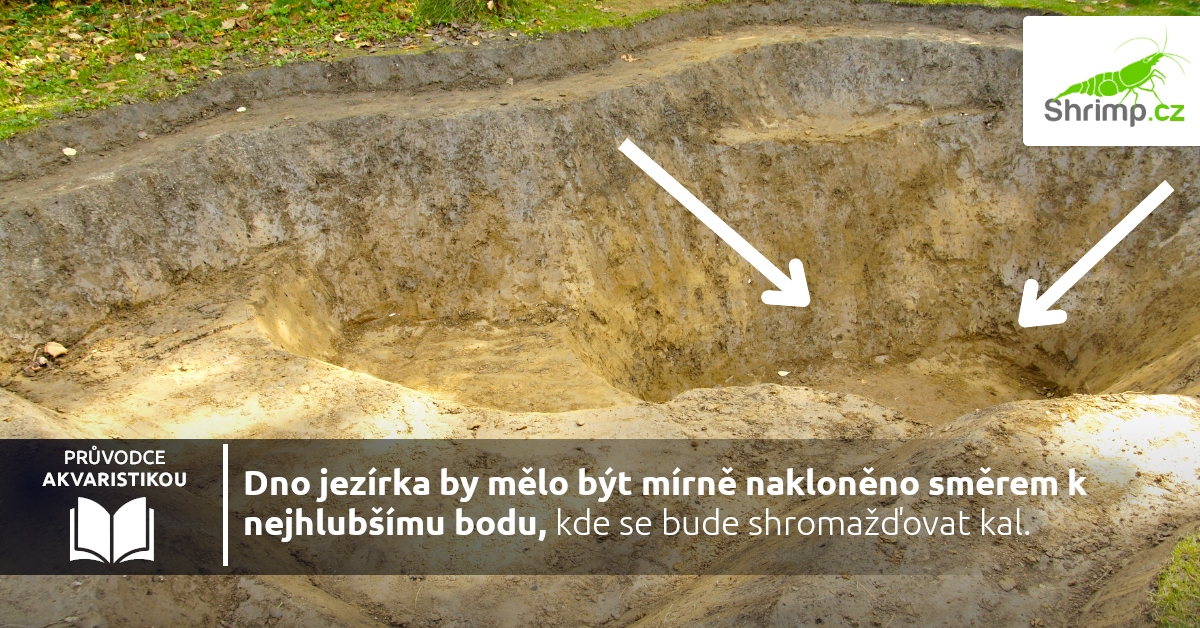 kopání-jemy-zahradni-jezirko