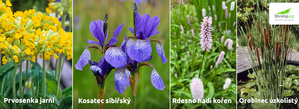 pobrezni-zona-zahradni-jezirko
