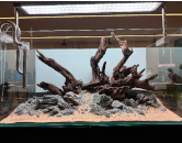 Aquascape-scaperline