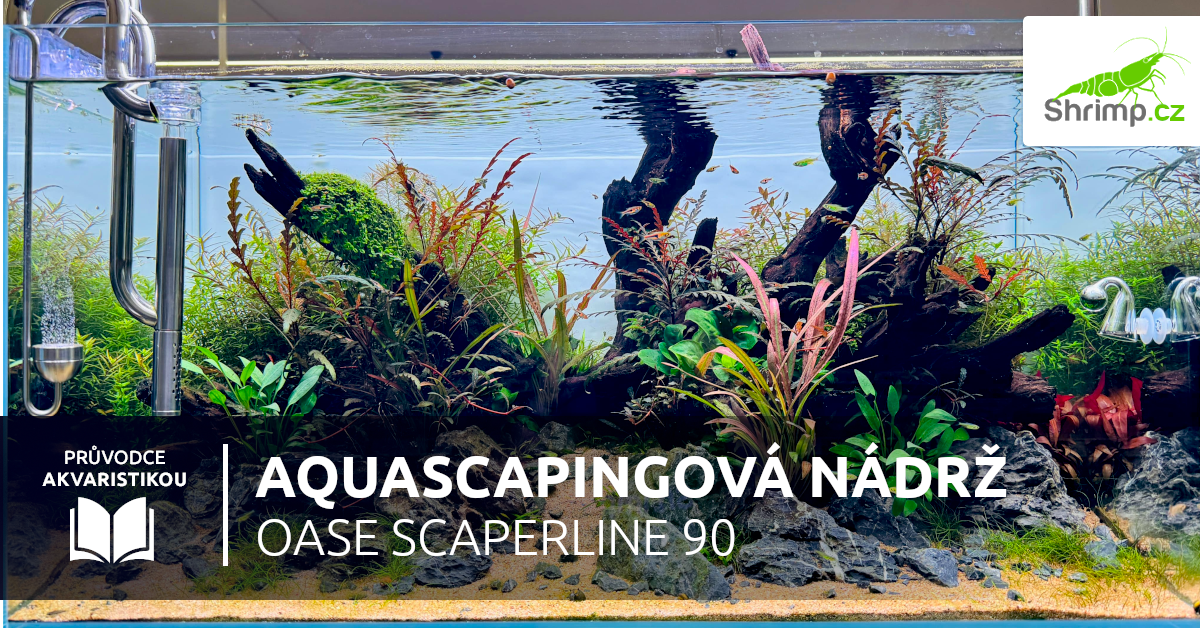 akvarium-oase-scaperline