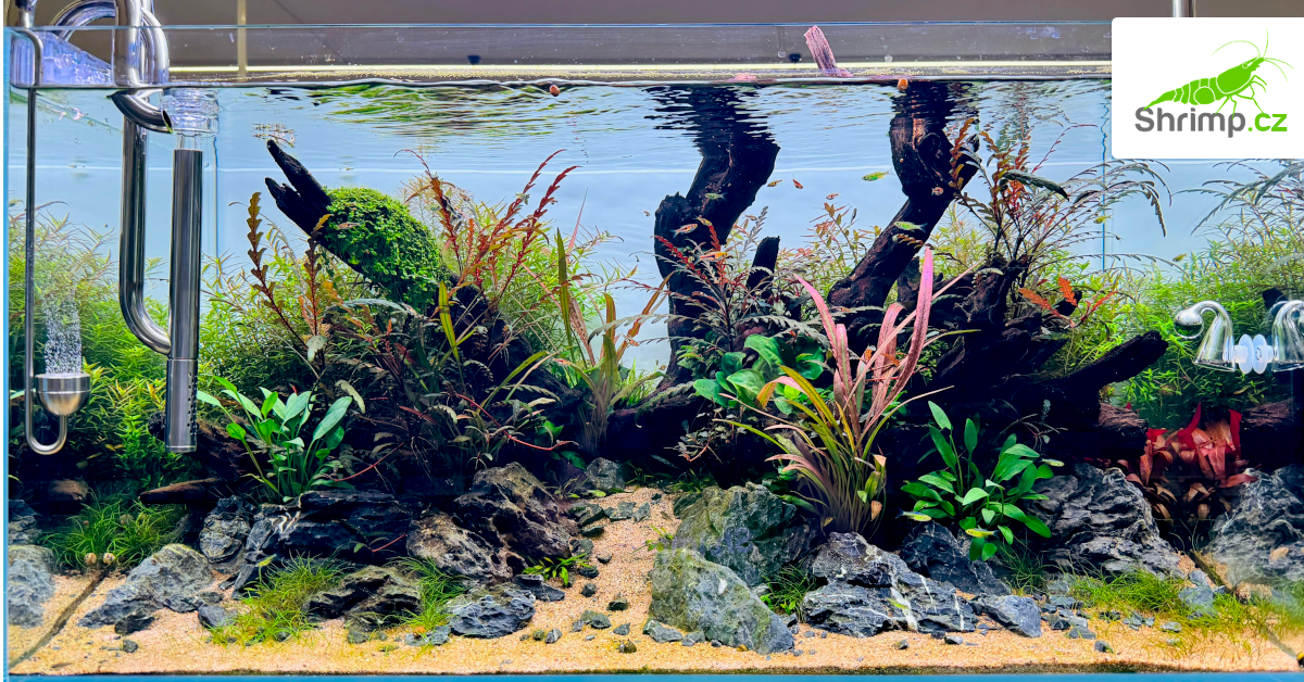 oase-aquascaping-akvarium