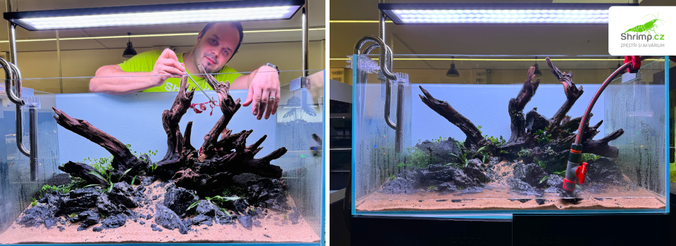 rostliny-aquascape