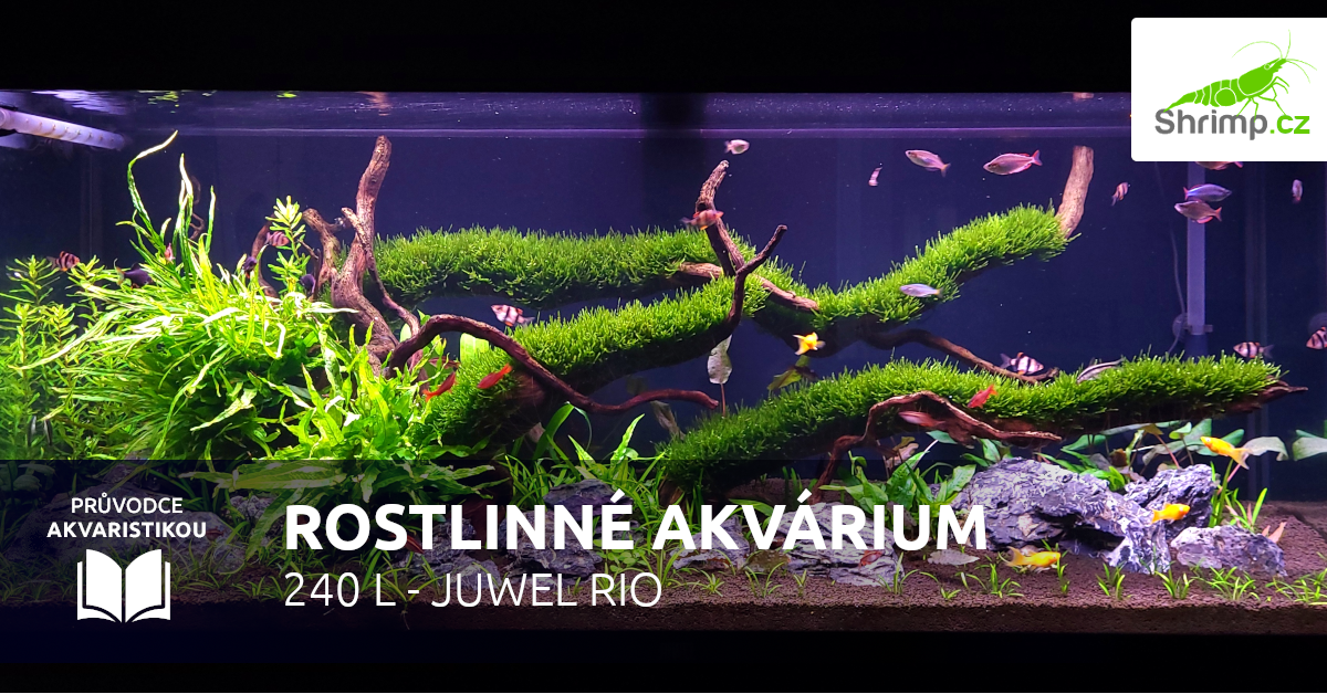 Rostlinné akvárium JUWEL