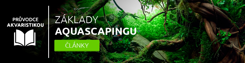 Základy aquascapingu