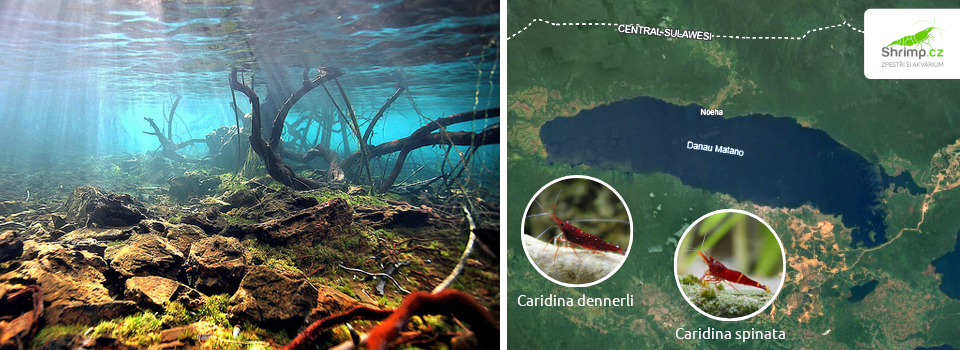 jezero-matano-sulawesi