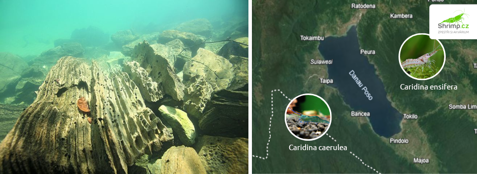 jezero-poso-sulawesi