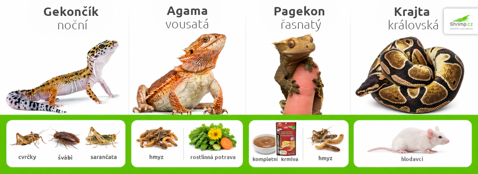 potrava-terarijni-zvirata